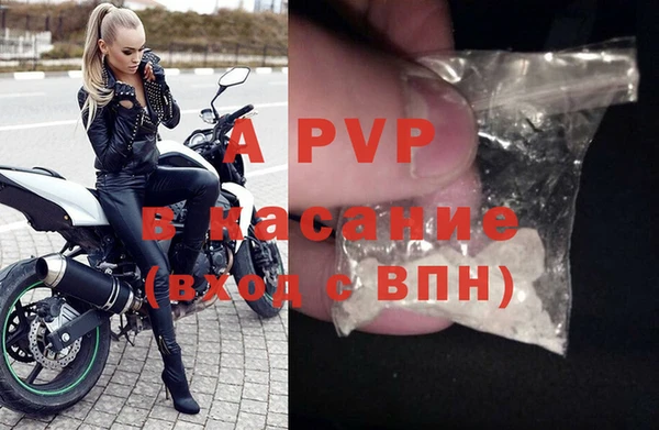 ешки Белокуриха