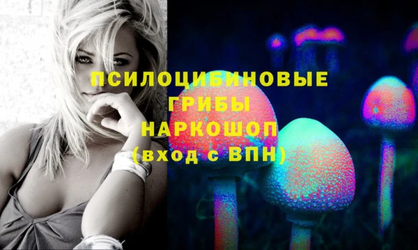 прущая мука Богородицк
