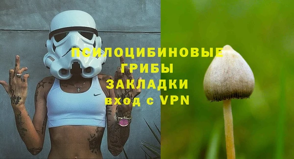 прущая мука Богородицк