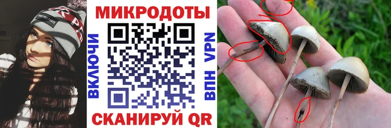 магазин продажи наркотиков  Облучье  Галлюциногенные грибы прущие грибы 